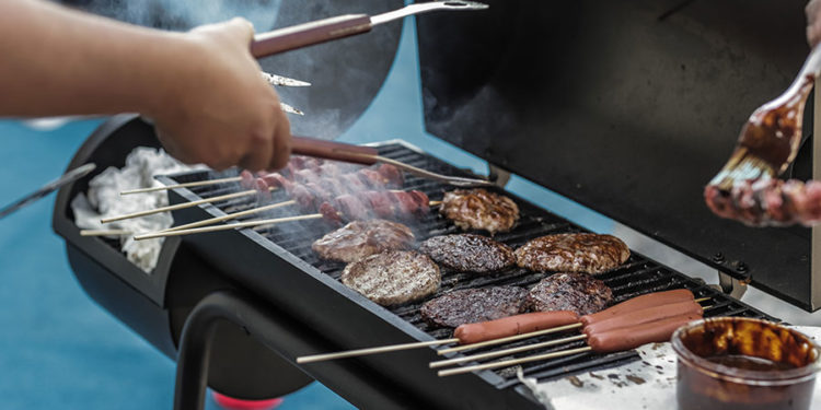 Tradicionalni piknik SDMS – 12.10.2019