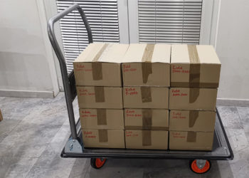 SDMS pred oddajo podpisov